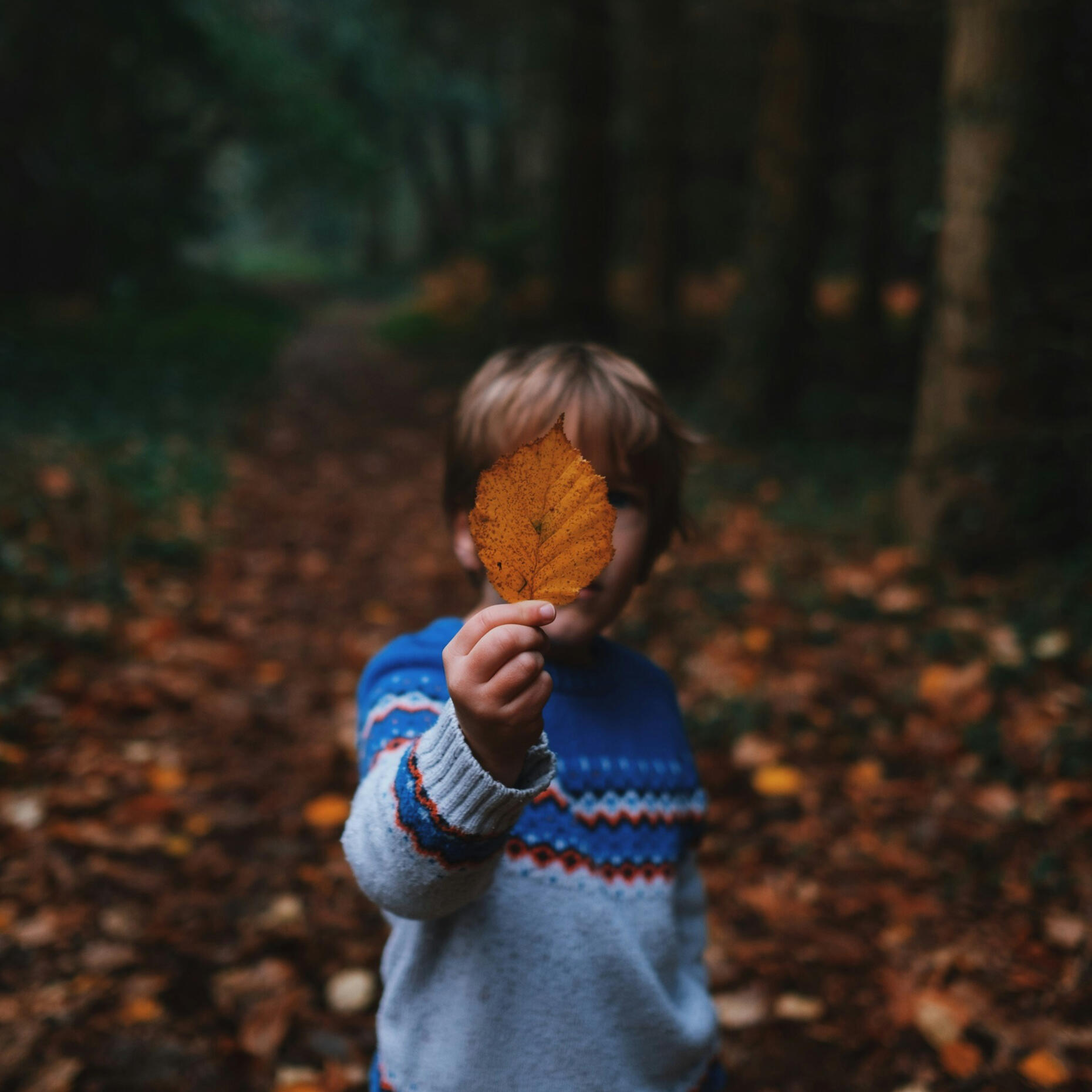 Child exploring nature during inner child healing reflection A child in woodland holding a leaf up in front of their face