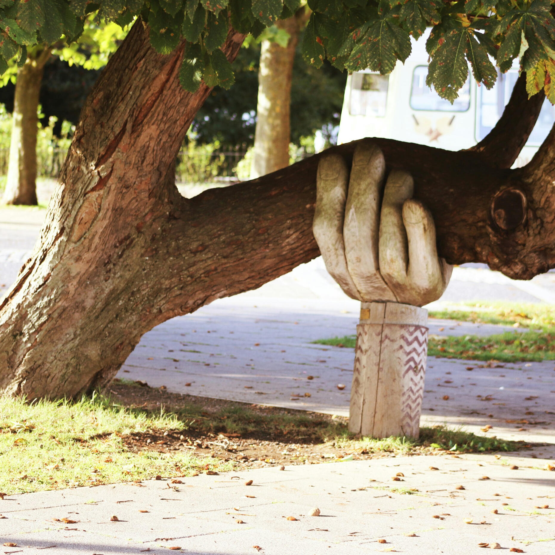 Support and stability during times of stress Tree supported by a wooden hand, representing stability, support and the importance of protecting wellbeing