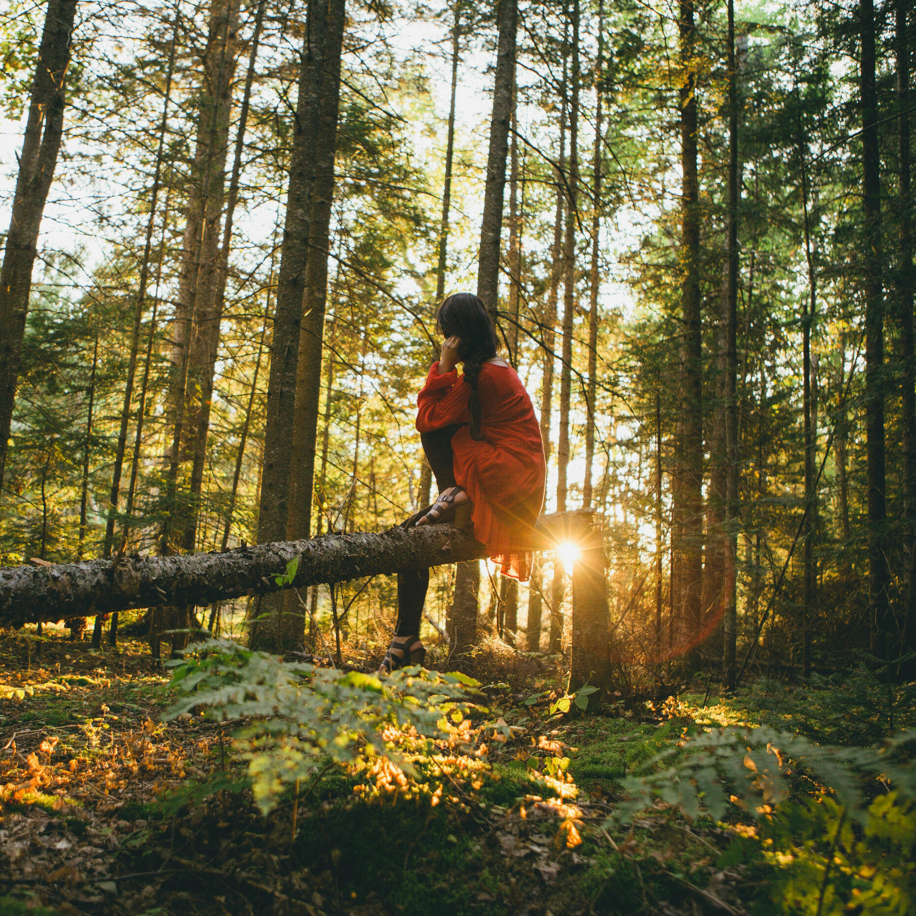Breathwork and mindful connection with nature Person sitting on a log in the woods looking up at the sky, representing relaxation, reflection and mindful breathing