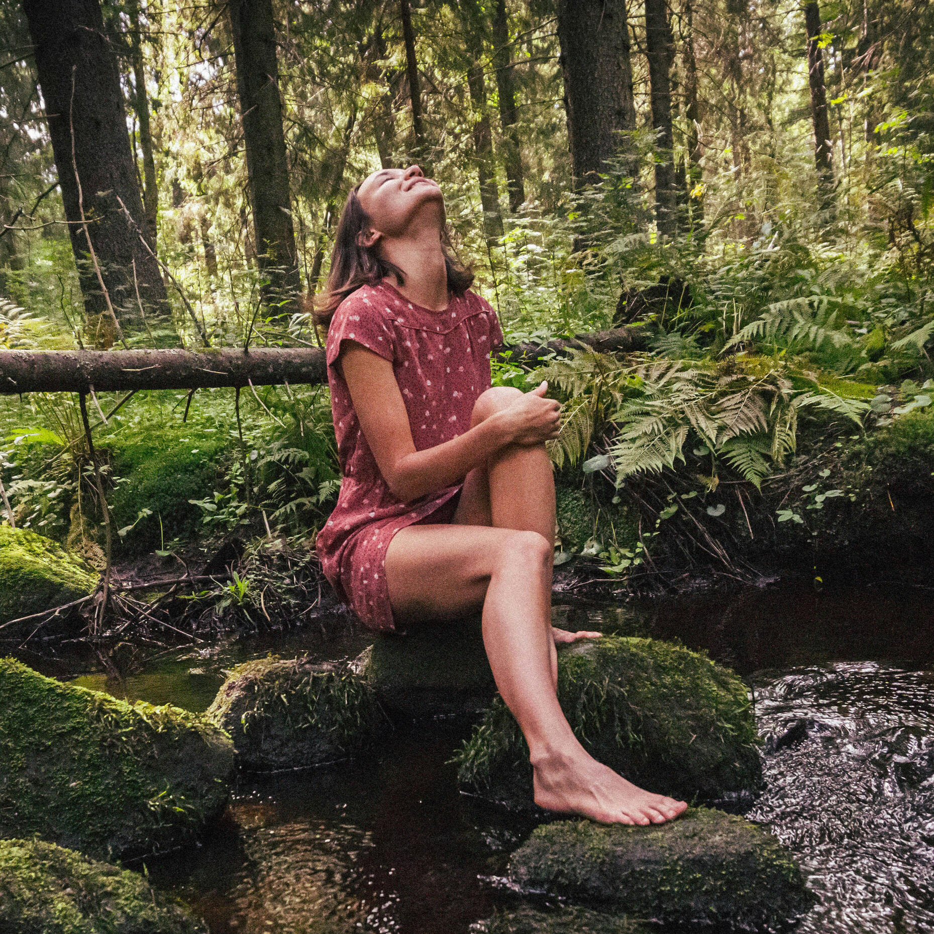 Reflection and integration in nature Person sitting on a mossy rock in the woods with eyes closed, representing reflection, inner connection and personal integration
